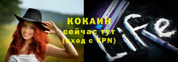 гидра Пересвет