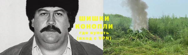 гидра Пересвет