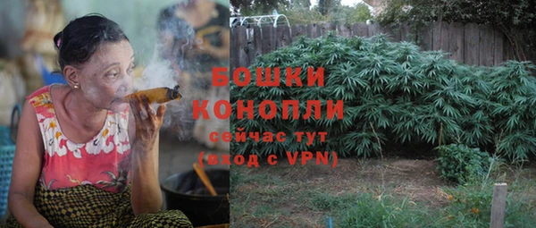 ГАЛЛЮЦИНОГЕННЫЕ ГРИБЫ Богородск