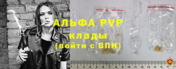 гидра Пересвет