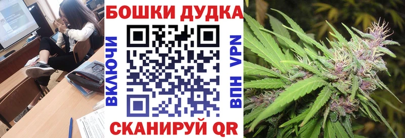 продажа наркотиков  Кола  дарк нет телеграм  Конопля гибрид 